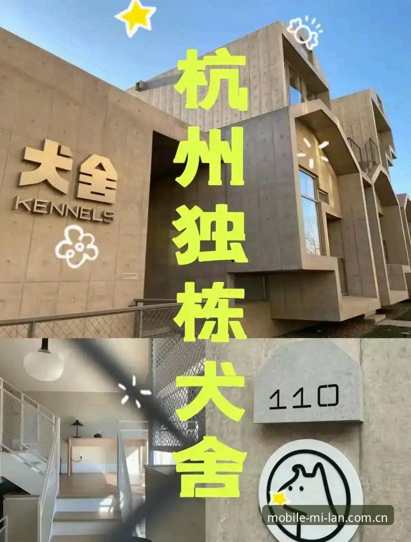 米兰娱乐平台靠谱吗？2024最新动态与新手实用指南